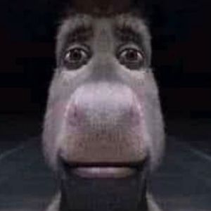 Meet your Posher, Quonk